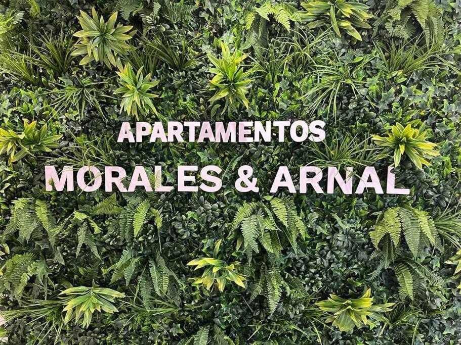 XX D Apartamentos Morales & Arnal روندا المظهر الخارجي الصورة